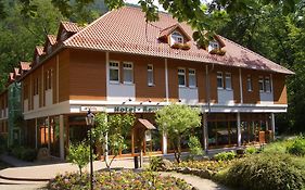 Kurpark Flair Hotel Im Ilsetal